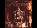 Poison Blind Faith