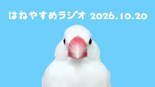 はねやすめラジオ 2026.10.20