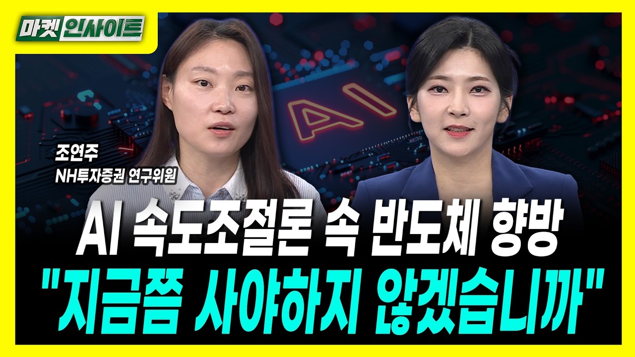 AI 속도조절론 속 반도체 향방..."지금쯤 사야하지 않겠습니까"ㅣ조연주 NH투자증권 연구위원
