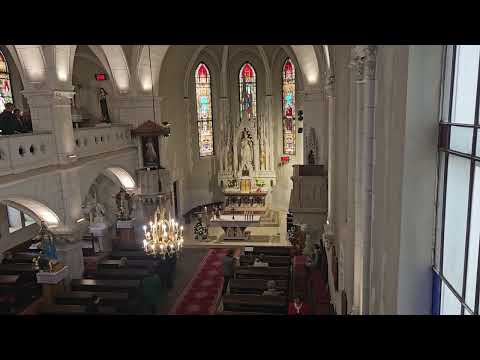 Kvetinky májové JKS 399