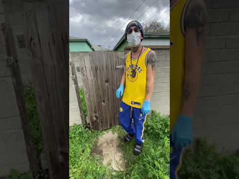 Raxx Coronavirus Freestyle