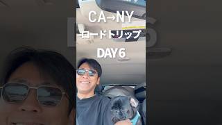 娘をニューヨークへ送る旅|Day 6 レイクエリーでレゲエフェス!シカゴからクリーブランドへ🚗🌊