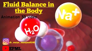 Fluid Balance In The Body||3D Animation Video||EPML||
