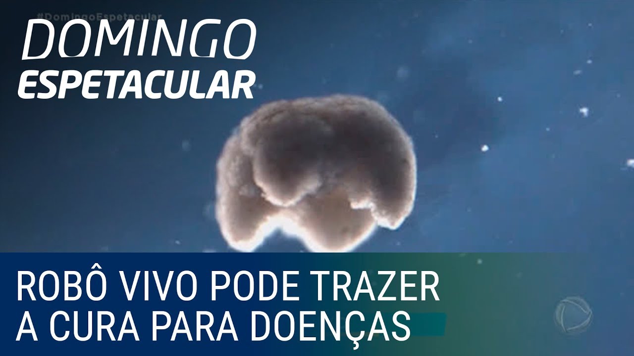 Cientistas anunciam a criação do primeiro robô vivo da história