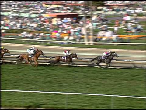 1993 Breeders' Cup Turf