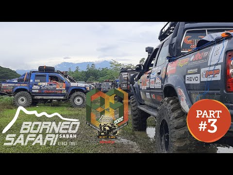 BORNEO SAFARI 2022. ARE WE OUT YET?  Tag On A Team. PART 3