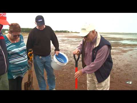 P.E.I.'s Famous Shellfish: Digging for Dinner in Central Bedeque - Prince Edward Island, Canada