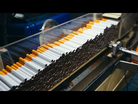 , title : 'Amazing Tobacco Production process, producing cigarettes with modern technology'