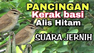 Download lagu TERAPI KERAK BASI ALIS HITAM SUARA JERNIH !!!! mp3
