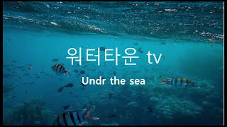 워터타운TV 음악 듣고 마추기 썸네일