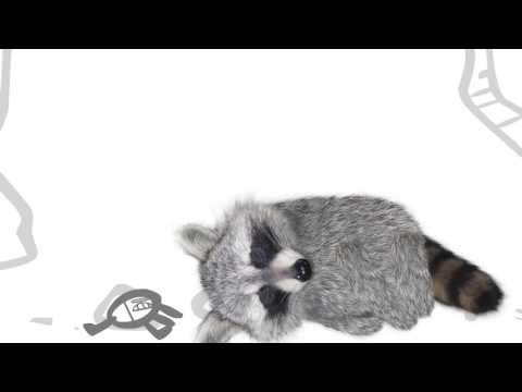 A Commentary on a Rant on Horror Movies (Made by Chae Cook) (SEQUEL!!!!!)