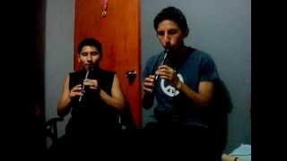 Brian Boru (Cover Cruachan).MPG