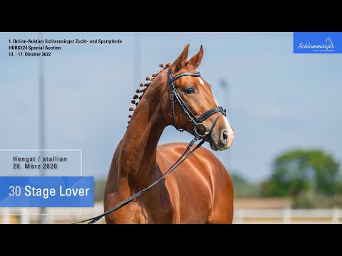 Schlamminger-Auktion Lot 30 Stage Lover Hengst v. Sir Heinrich - Rock Forever I