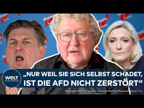 AFD-KRISE: Politik-Experte Werner Patzelt über die Folgen des Zerwürfnis mit RN-Chefin Marine Le Pen