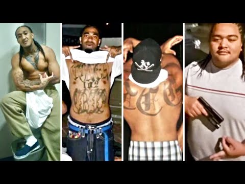 The Most Dangerous Samoan Gangs: Feared By Rollin 60s, Big U & Cali