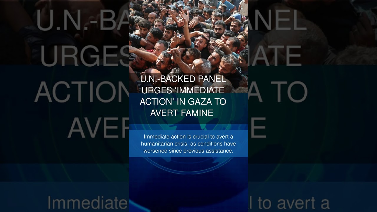 U.N.-Backed Panel Urges Immediate Action in Gaza to Avert Famine