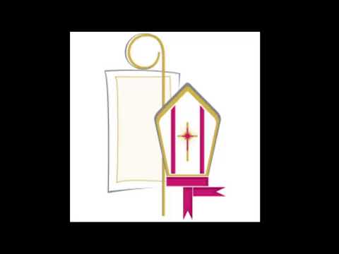 Live streaming di Parrocchie di San Martino B.A.