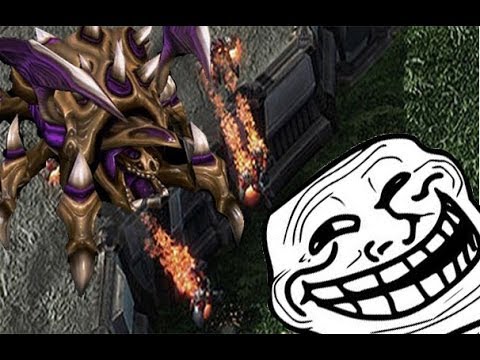 ZVP Special Build Mass Roach timing