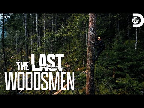 The Ultimate Tree Climb | The Last Woodsmen | Discovery