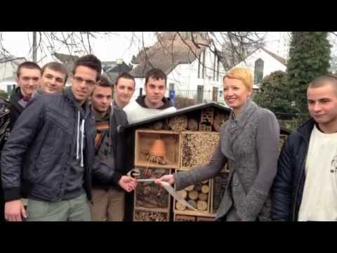 comment construire une maison a insectes