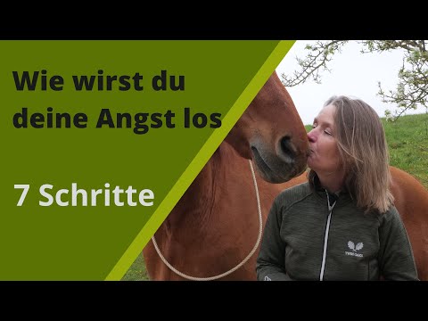 How to get rid of your fear I Fear of horses I