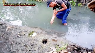 Download lagu Hunting for ancient eels in the river mp3 Download lagu Hunting for ancient eels in the river mp3