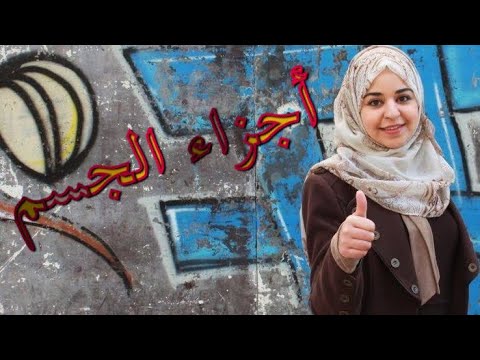 كورس تعلم اللغة الإيطالية مع لينا - الجزء الرابع