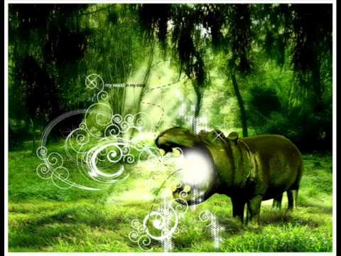 Seyton - Vikingfjord (Micah's Alaisiagae Battle Chant Mix)