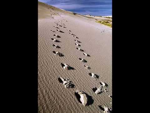 Farook Feat. Brc - "Zbog tebe"