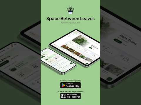 Space Between Leaves - Journal video thumbnail
