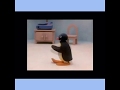 Havana By Pingu Official Music Video