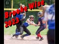 Shortstop Fielding Skills Video