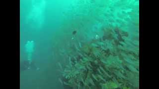 preview picture of video 'Asahi Maru Wreck, Atami, Japan'