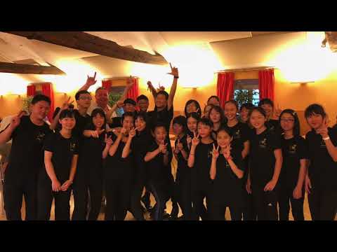 法國利摩日音樂節演出