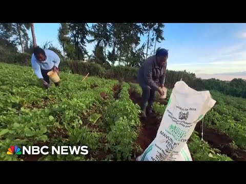 War with Iran threatens global food supply chain