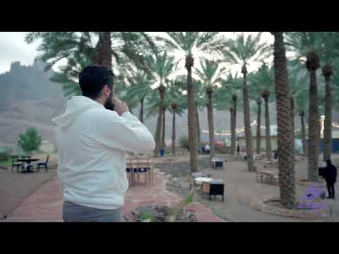 فيديو من المعرض