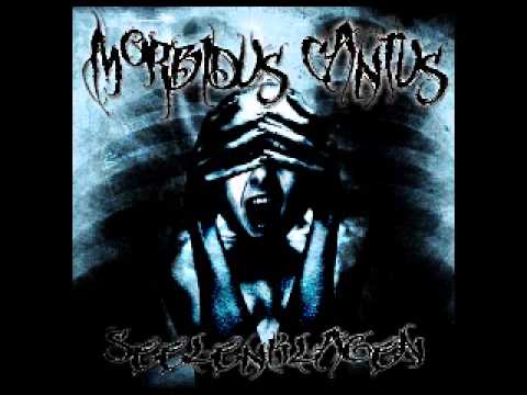 Totengräber, Splattervotzzze - Horrorchore  (MorbiduS-CantuS)