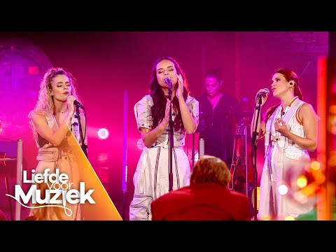 Video thumbnail for Mijn kleine Presidentje (uit Liefde Voor Muziek) - Live