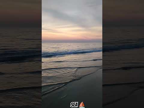 beach Vibes #beachlife #sea #beachvibes #viralvideo #youtubeshort #youtubevideos #sunset