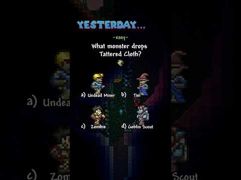 Terraria-Quiz des Tages – Frage 56