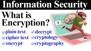 What is Encryption? Basic Encryption Terminologies with Examples