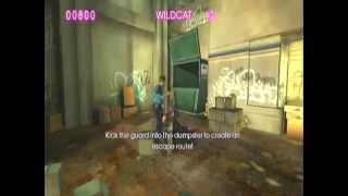 UKGN 10th Anniversary - Catwoman [GameCube]