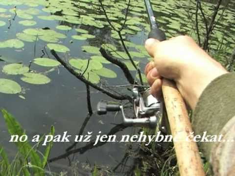 Šoulačka na kapry