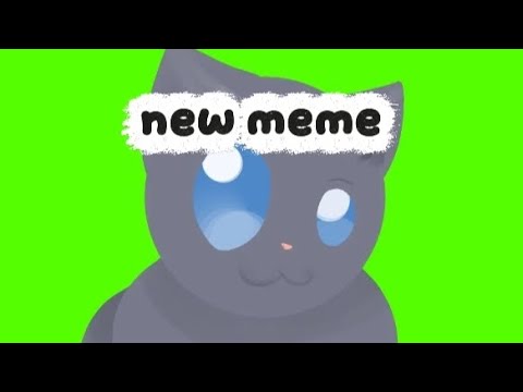 NEVIL THE CAT green screen