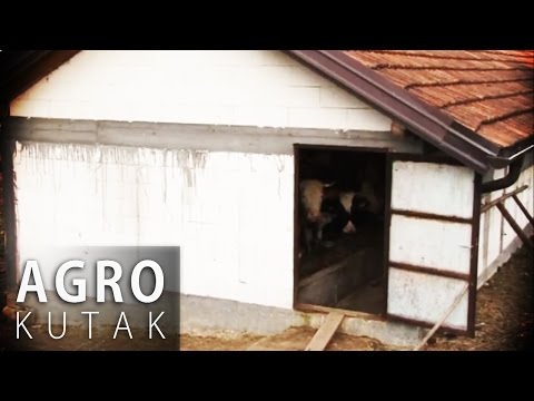 Agro Kutak 51 - Proizvodnja mlijeka u Špionici - 24.04.2015
