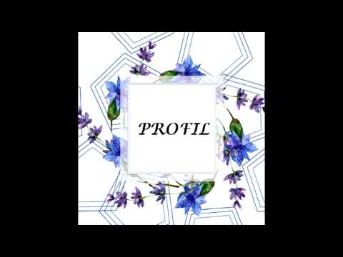 Hudební skupina Profil