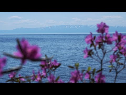 Seasons of Baikal 4K ULTRA HD