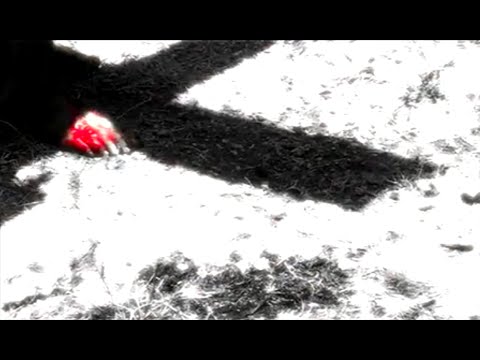 The Gospel According to Isaiah - #4 Jesus' Death