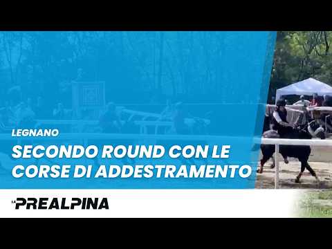 Secondo round con le corse di addestramento