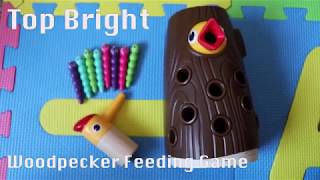 Žaislinis magnetinis įgūdžių žaidimas vaikams | Pagauk kirminą | Kelmas, geniai ir 10 kirminų | Woopie 44305